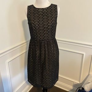 Loft A-line Dress PeakABoo Lace Overlay